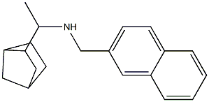 (1-{bicyclo[2.2.1]heptan-2-yl}ethyl)(naphthalen-2-ylmethyl)amine Struktur