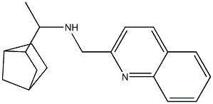 (1-{bicyclo[2.2.1]heptan-2-yl}ethyl)(quinolin-2-ylmethyl)amine Struktur