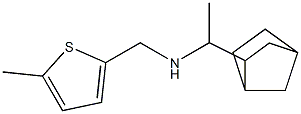 (1-{bicyclo[2.2.1]heptan-2-yl}ethyl)[(5-methylthiophen-2-yl)methyl]amine Struktur