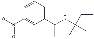 (2-methylbutan-2-yl)[1-(3-nitrophenyl)ethyl]amine Struktur