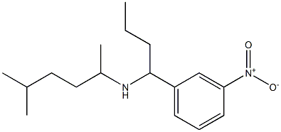 (5-methylhexan-2-yl)[1-(3-nitrophenyl)butyl]amine Struktur