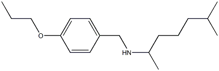 (6-methylheptan-2-yl)[(4-propoxyphenyl)methyl]amine Struktur