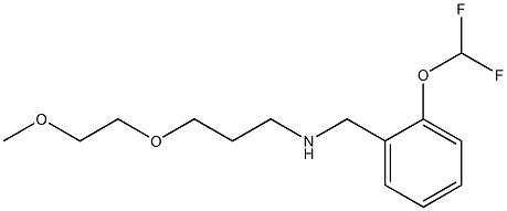 {[2-(difluoromethoxy)phenyl]methyl}[3-(2-methoxyethoxy)propyl]amine Struktur