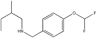 {[4-(difluoromethoxy)phenyl]methyl}(2-methylbutyl)amine Struktur