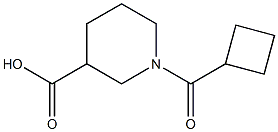 1-(cyclobutylcarbonyl)piperidine-3-carboxylic acid Struktur