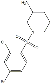 1-[(4-bromo-2-chlorobenzene)sulfonyl]piperidin-3-amine Struktur