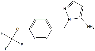 1-[4-(trifluoromethoxy)benzyl]-1H-pyrazol-5-amine Struktur