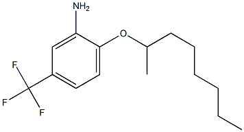 2-(octan-2-yloxy)-5-(trifluoromethyl)aniline Struktur