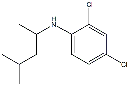 2,4-dichloro-N-(4-methylpentan-2-yl)aniline Struktur