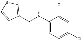 2,4-dichloro-N-(thiophen-3-ylmethyl)aniline Struktur