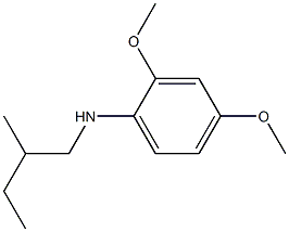 2,4-dimethoxy-N-(2-methylbutyl)aniline Struktur