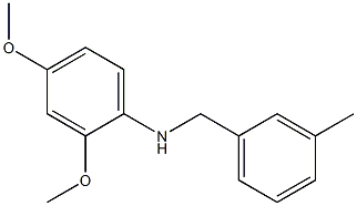 2,4-dimethoxy-N-[(3-methylphenyl)methyl]aniline Struktur