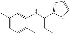 2,5-dimethyl-N-[1-(thiophen-2-yl)propyl]aniline Struktur