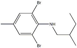 2,6-dibromo-4-methyl-N-(2-methylbutyl)aniline Struktur