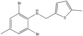 2,6-dibromo-4-methyl-N-[(5-methylthiophen-2-yl)methyl]aniline Struktur