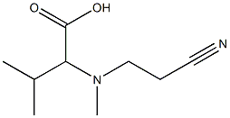 2-[(2-cyanoethyl)(methyl)amino]-3-methylbutanoic acid Struktur