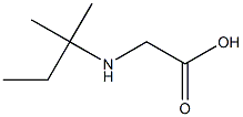 2-[(2-methylbutan-2-yl)amino]acetic acid Struktur