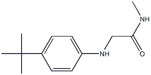 2-[(4-tert-butylphenyl)amino]-N-methylacetamide Struktur