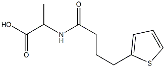 2-[4-(thiophen-2-yl)butanamido]propanoic acid Struktur