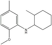 2-methoxy-5-methyl-N-(2-methylcyclohexyl)aniline Struktur