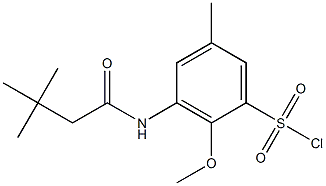 3-(3,3-dimethylbutanamido)-2-methoxy-5-methylbenzene-1-sulfonyl chloride Struktur