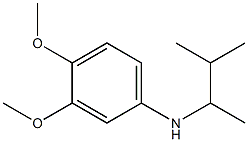 3,4-dimethoxy-N-(3-methylbutan-2-yl)aniline Struktur