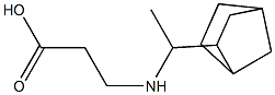 3-[(1-{bicyclo[2.2.1]heptan-2-yl}ethyl)amino]propanoic acid Struktur