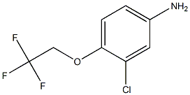 3-chloro-4-(2,2,2-trifluoroethoxy)aniline Struktur