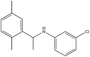 3-chloro-N-[1-(2,5-dimethylphenyl)ethyl]aniline Struktur