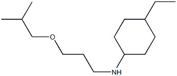 4-ethyl-N-[3-(2-methylpropoxy)propyl]cyclohexan-1-amine Struktur