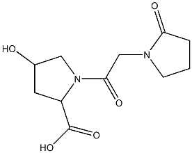 4-hydroxy-1-[2-(2-oxopyrrolidin-1-yl)acetyl]pyrrolidine-2-carboxylic acid Struktur