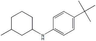 4-tert-butyl-N-(3-methylcyclohexyl)aniline Struktur