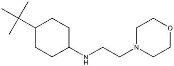 4-tert-butyl-N-[2-(morpholin-4-yl)ethyl]cyclohexan-1-amine Struktur