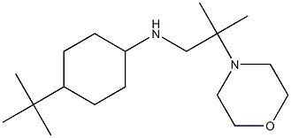 4-tert-butyl-N-[2-methyl-2-(morpholin-4-yl)propyl]cyclohexan-1-amine Struktur