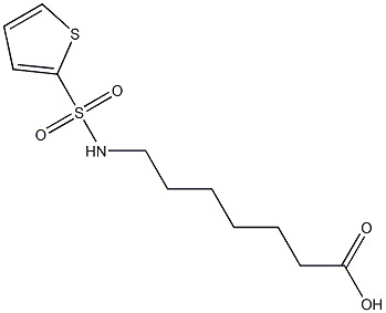 7-[(thien-2-ylsulfonyl)amino]heptanoic acid Struktur