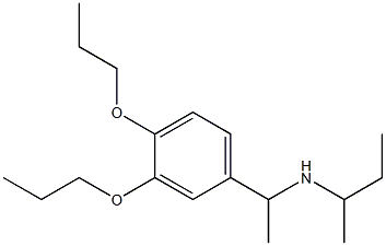 butan-2-yl[1-(3,4-dipropoxyphenyl)ethyl]amine Struktur