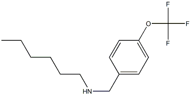 hexyl({[4-(trifluoromethoxy)phenyl]methyl})amine Struktur