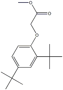 methyl 2-(2,4-di-tert-butylphenoxy)acetate Struktur