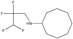 N-(2,2,3,3-tetrafluoropropyl)cyclooctanamine Struktur