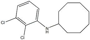 N-(2,3-dichlorophenyl)cyclooctanamine Struktur