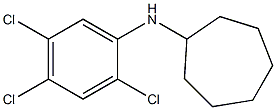 N-(2,4,5-trichlorophenyl)cycloheptanamine Struktur