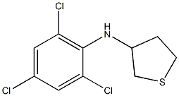 N-(2,4,6-trichlorophenyl)thiolan-3-amine Struktur