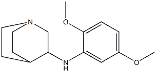 N-(2,5-dimethoxyphenyl)-1-azabicyclo[2.2.2]octan-3-amine Struktur