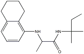 N-(2-methylbutan-2-yl)-2-(5,6,7,8-tetrahydronaphthalen-1-ylamino)propanamide Struktur