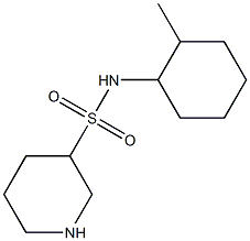 N-(2-methylcyclohexyl)piperidine-3-sulfonamide Struktur