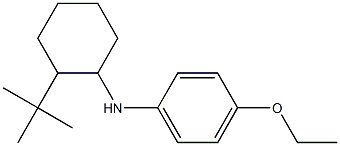 N-(2-tert-butylcyclohexyl)-4-ethoxyaniline Struktur