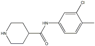 N-(3-chloro-4-methylphenyl)piperidine-4-carboxamide Struktur