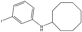 N-(3-iodophenyl)cyclooctanamine Struktur