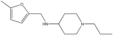 N-[(5-methylfuran-2-yl)methyl]-1-propylpiperidin-4-amine Struktur