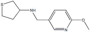 N-[(6-methoxypyridin-3-yl)methyl]thiolan-3-amine Struktur